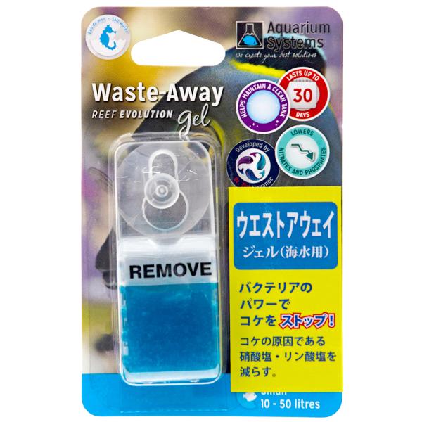 ivR@EGXgAEFC@WF@Cr@iTOkȉj