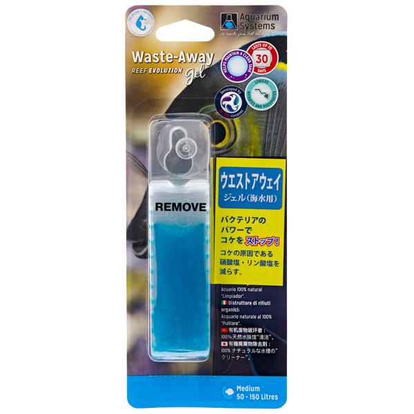 ivR@EGXgAEFC@WF@Cl@iPTOkȉj