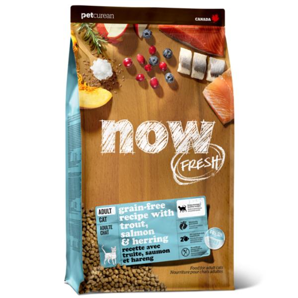 �L���b�g�t�[�h�@�m�n�v�@�e�q�d�r�g�@�f���������@�e�������@�t�B�b�V���A�_���g�L���b�g�@�P�D�R�U����