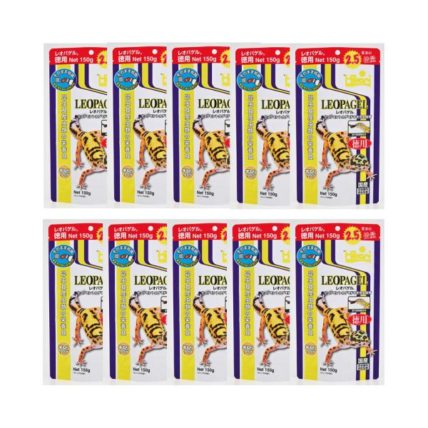 L[@IpQ@p@PTO×PO@qEgJQhL@t[h@঒ށ@llR_