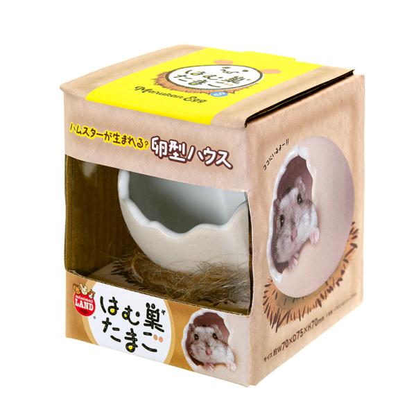 }J@͂ނ܂@r@nX^[@nEX