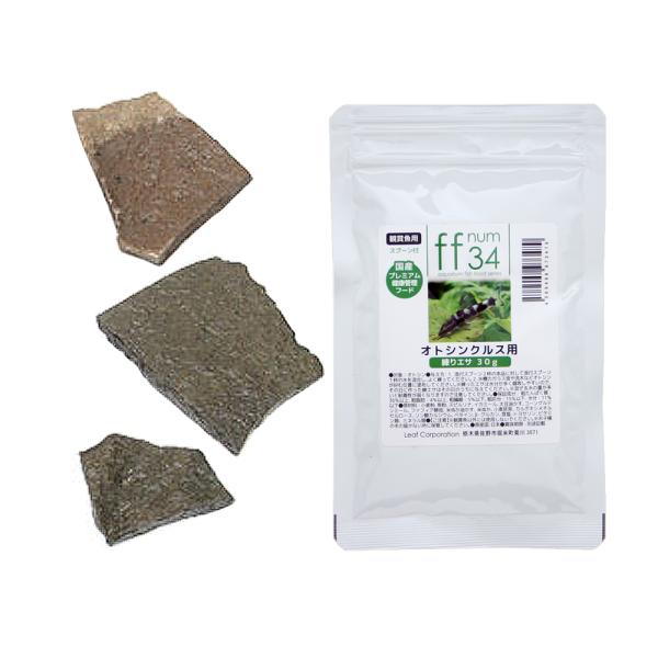 @RS@IgVNXp@GT@RO@P΁@rTCY@R@Zbg