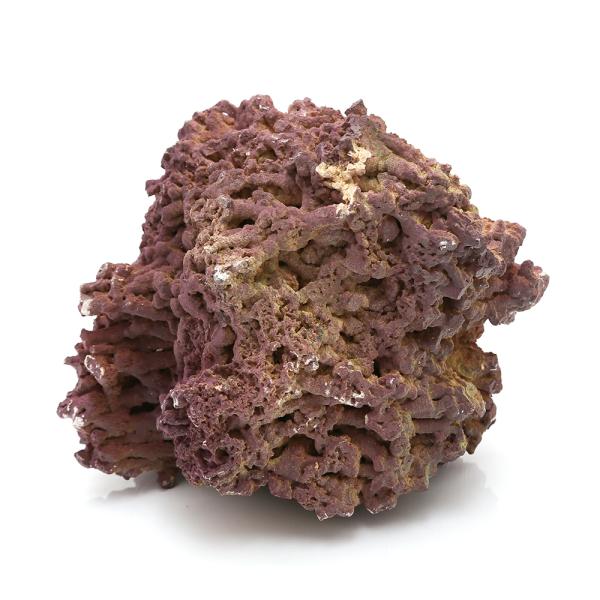 WVbN[tbN@CubN@kiP`QDTj@P@`󂨔C@oNeAt