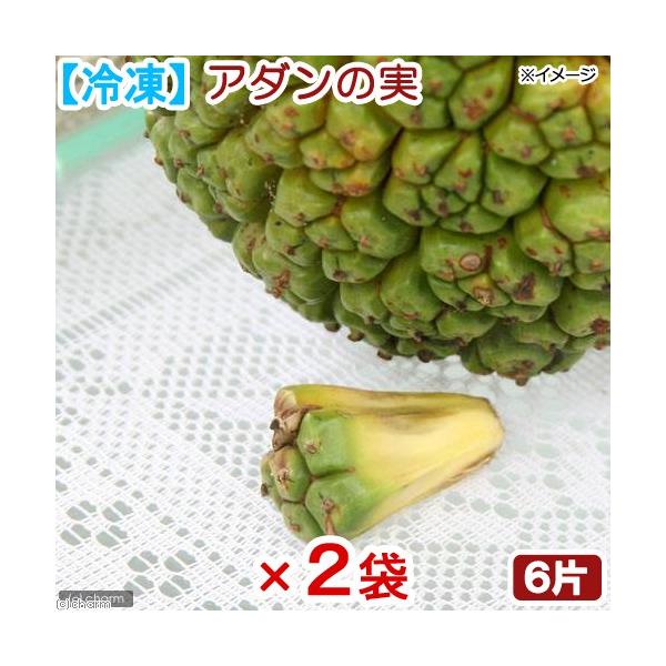 昆虫 エサ 2個の人気商品 通販 価格比較 価格 Com