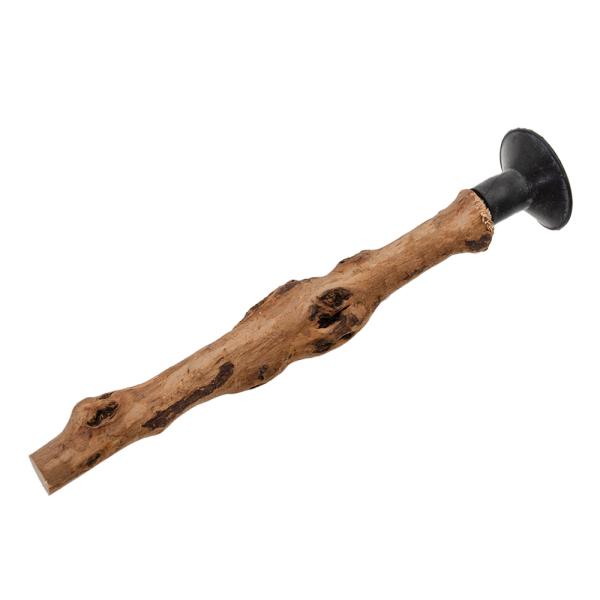 itm@؁@m[XeBbN@PO`PT