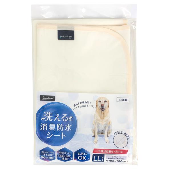 AEgbgi@nbs[fCY@􂦂LhV[g@kk@󂠂