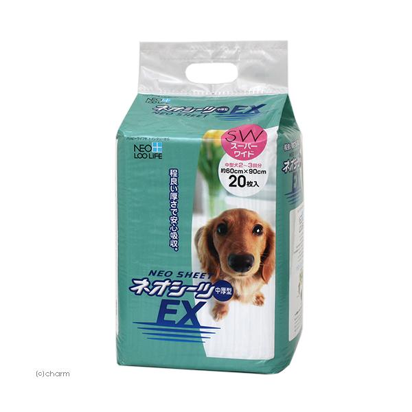 R[`[@lIV[cdw@X[p[Ch@QO×U܁@ybgV[c