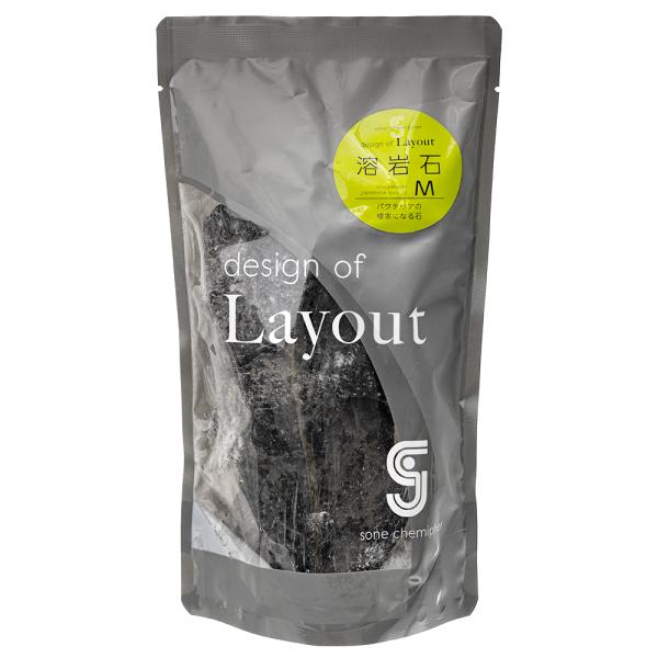 \lP~t@@CAEgfUC@n΁@l