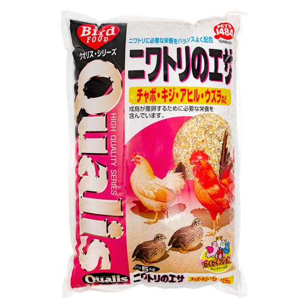 NIX@jg̃GT@T@@t[h@a@@@