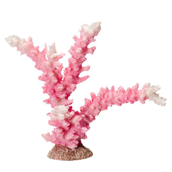 [XC@ydrs@vJTS@l|X@sNzCg