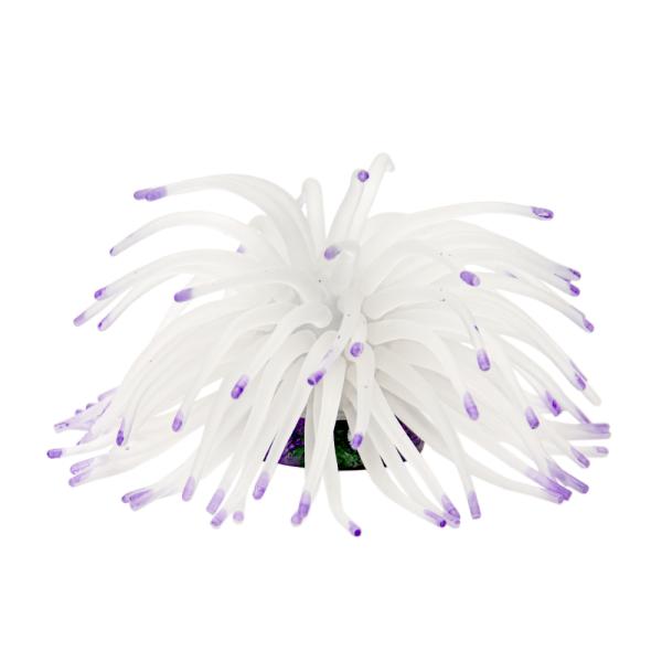 [XC@ydrs@vJTS@l|PO@zCgp[v