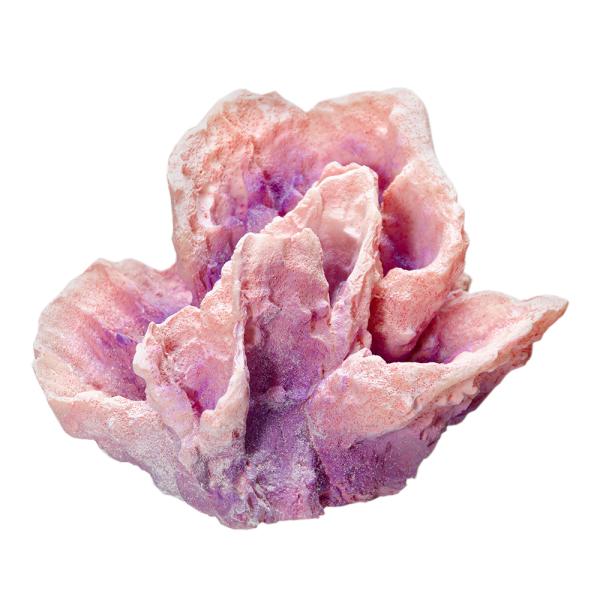 [XC@ydrs@vJTS@l|PP@p[vsN