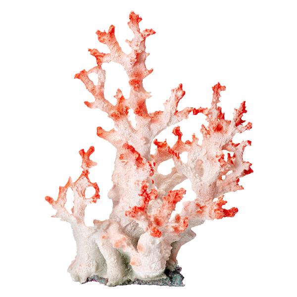 [XC@ydrs@vJTS@k|S@zCgsN