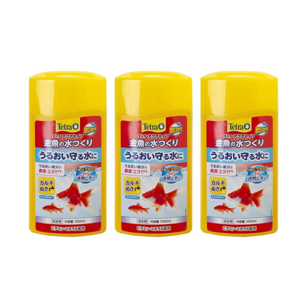 eg@̐@POOO×R@Sی@JL