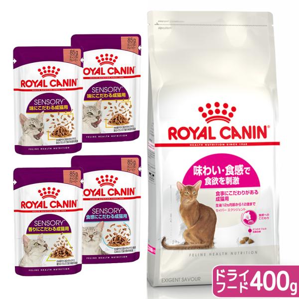 ロイヤルカナン他猫ご飯たくさん ロイヤルカナン 猫 味わい食感にこだわる成猫用セット とろ~り
