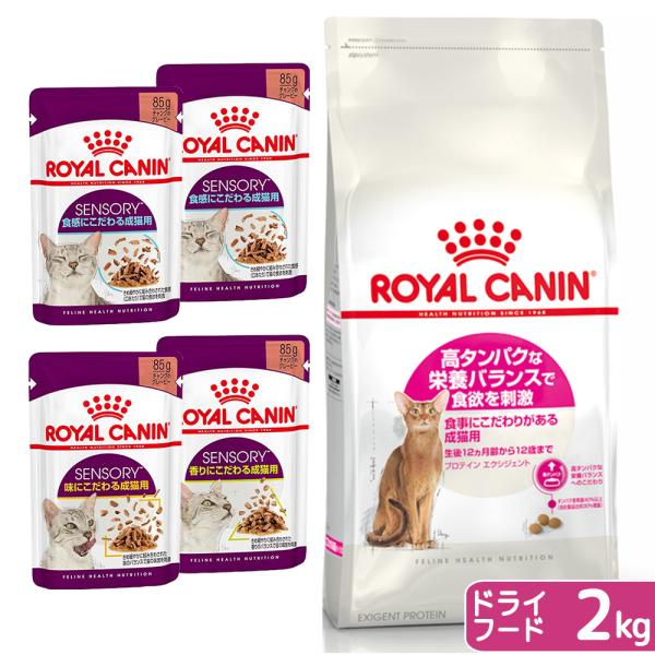 ロイヤルカナン ラグドール 2kg×2 成猫用 ジップ付 75336-1.jpg