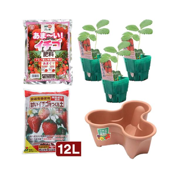 苗 いちご 苗の人気商品 通販 価格比較 価格 Com