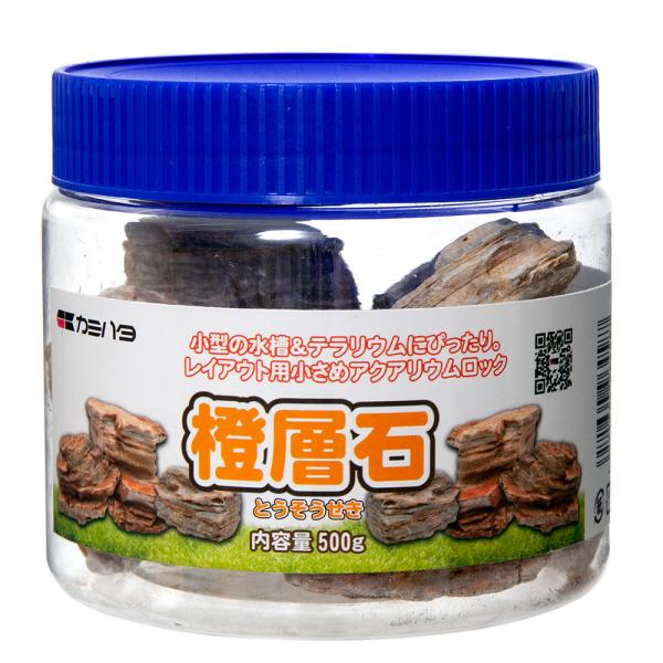 J~n^@v`ANA̐΁@w΁@TOO@^@eE@CAEg