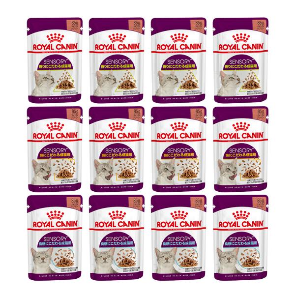 CJi@L@oɂ鐬LpiHEEj@ZT[@Hה׃Zbg@ReS܁@vPQ܁@@Lbgt[h@llT_