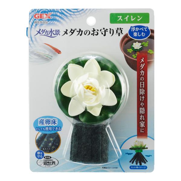 fdw@_Ji@_Ĵ葐@XC@Y@