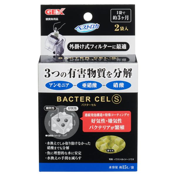 バクテリア 親株サイズ chanet_269368