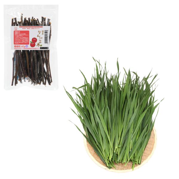 iϗtAjY@񂲂̖؋ɍ׎}SO{ƂꂽĐqI[cwCTOO@@tr`x`l`