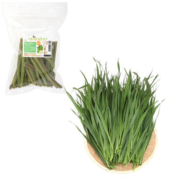 iϗtAjY@󂠂ppC̗ťsUO{ƂꂽĐqI[cwCTOO@@tr`x`l`