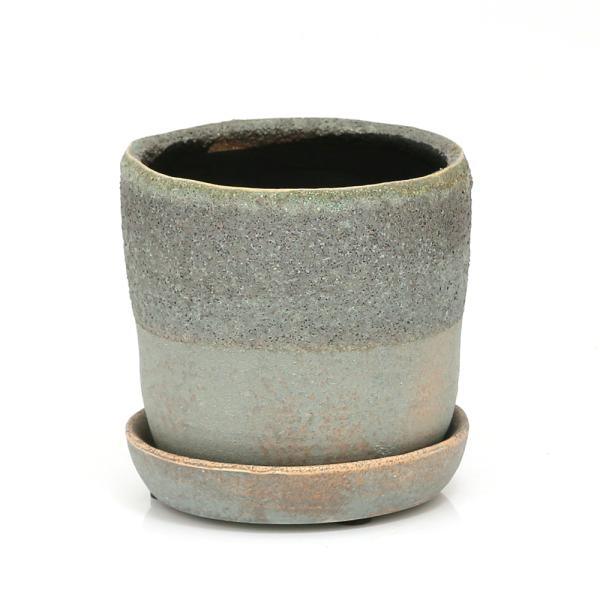 Aؔ@oO[@r@RDT@R[fbNX@T{e@A