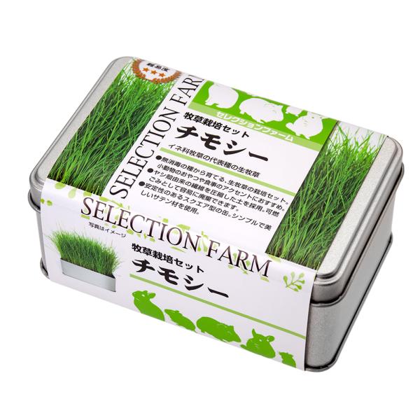 C[X^[@ZNVt@[@q͔|Zbg@`V[