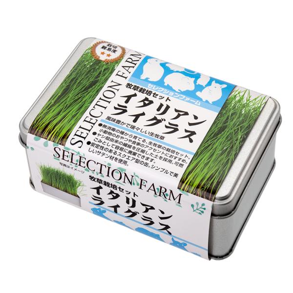 乾燥スーダングラス 生牧草天日干し 通販 生牧草スーダングラス