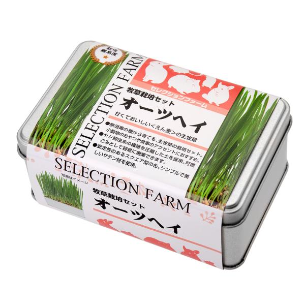 C[X^[@ZNVt@[@q͔|Zbg@I[cwC