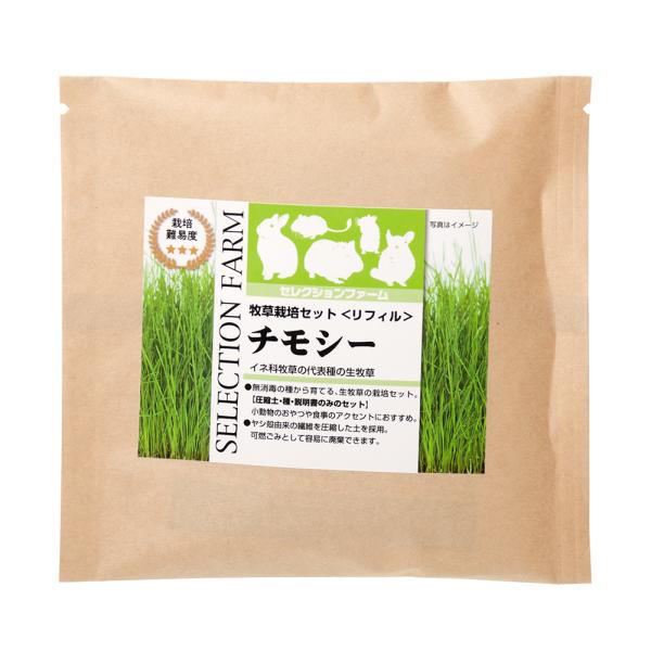 C[X^[@ZNVt@[@q͔|ZbgtB@`V[