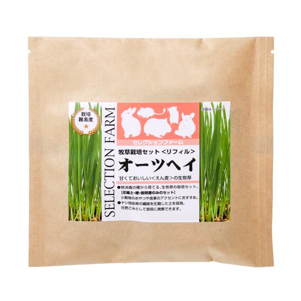 C[X^[@ZNVt@[@q͔|ZbgtB@I[cwC