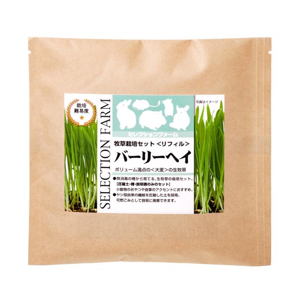 C[X^[@ZNVt@[@q͔|ZbgtB@o[[wC