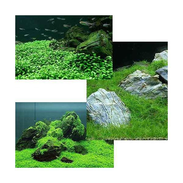 ijOi@ti_jR@Ob\XeBO}iQj{L[op[OXiQj{wA[OX@V[giQj@kCEBq֗vۉ