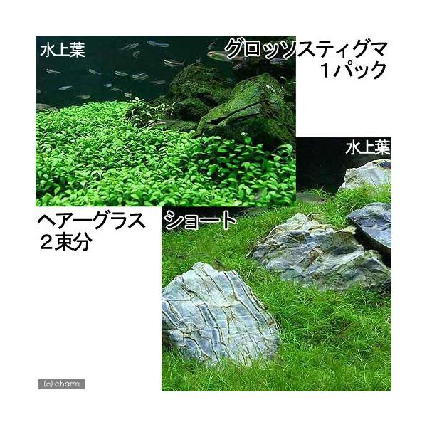 ijOi@ti_jQZbg@Ob\XeBO}iPpbNj{wA[OX@V[giQj@kCEBq֗vۉ