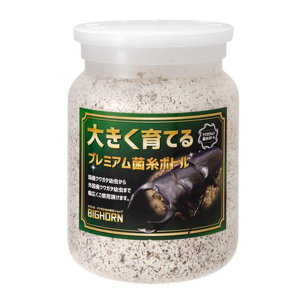 菌糸ビン MIKUプレミアム菌糸ボトル オオヒラタケ 菌糸ビン MIKUプレミアム菌糸ボトル オオヒラタケ