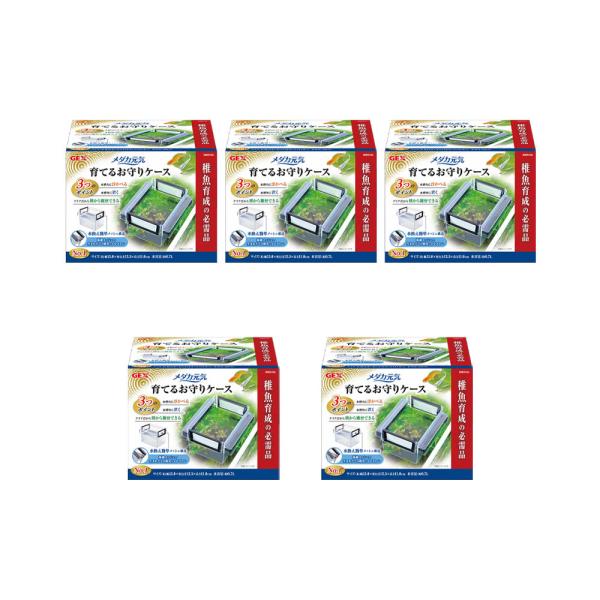 fdw@_JC@Ă邨P[X@T@t@uP[X@PT×PRDT×PPDT