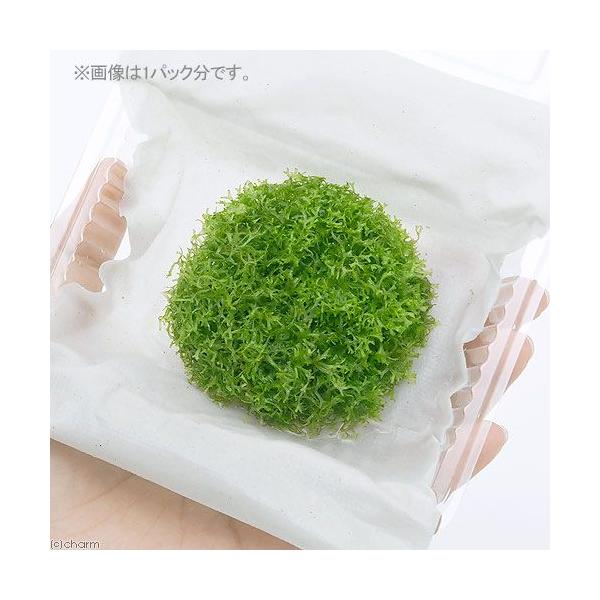 ij[WVAitji_jiRpbNj@kCEBq֗vۉ