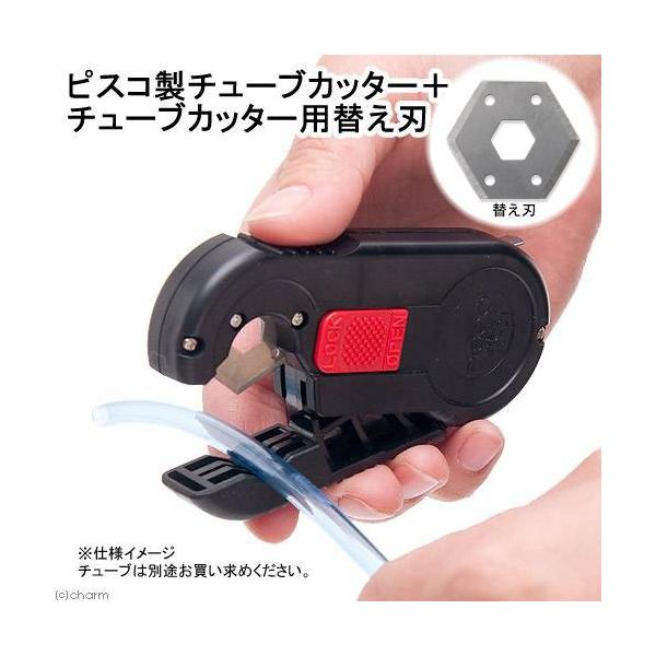 sXR`[uJb^[{`[uJb^[pւn