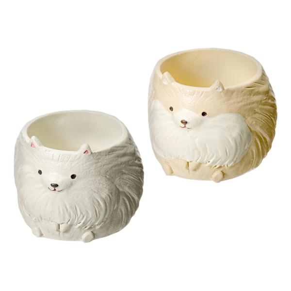 @gW|bg@|jA@P|bgp@F܂@Jo[