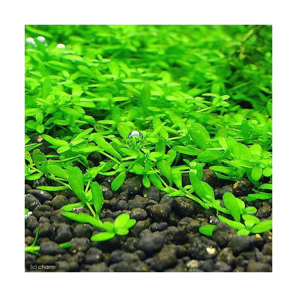 ijĎY~YnRxitji_jiPO{j