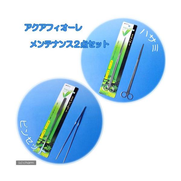 カミハタ 水草の人気商品・通販・価格比較 - 価格.com カミハタ 水草の人気商品・通販・価格比較 - 価格.com