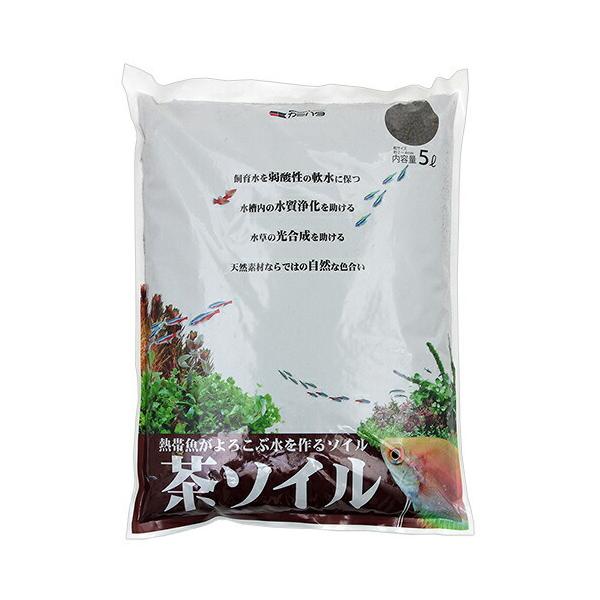 J~n^@\C@Tk@zn\C@ANAE@Mы@