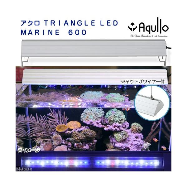 アウトレット品 アクロ ｔｒｉａｎｇｌｅ ｌｅｄ ｍａｒｉｎｅ ６００ ２００００ｋ 訳あり 沖縄別途送料 関東当日便 Buyee Buyee Japanese Proxy Service Buy From Japan Bot Online