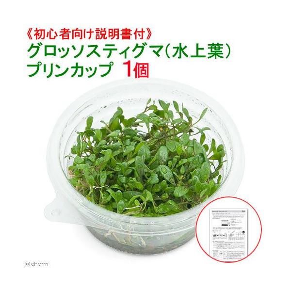 ijSҌt@Ob\XeBO}itjvJbvi_jiPj@kCEBq֗vۉ