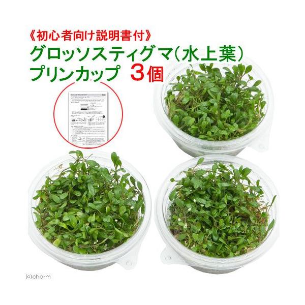 ijSҌt@Ob\XeBO}itjvJbvi_jiRj@kCEBq֗vۉ