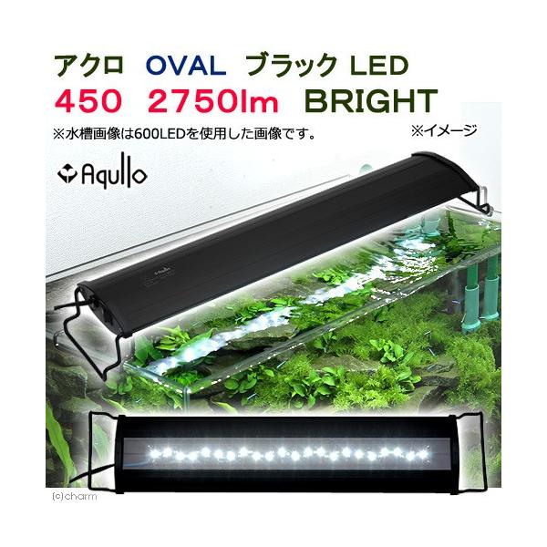 アクロ 450 水槽用照明 ledの人気商品・通販・価格比較 - 価格.com アクロ 450 水槽用照明 ledの人気商品・通販・価格比較 - 価格.com