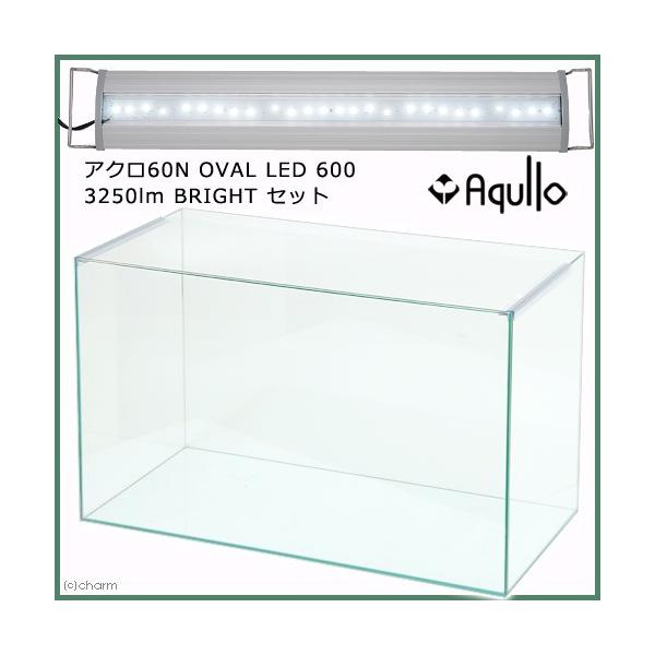 X[p[NA@ANUOr@nu`k@kdc@UOO@RQTO@aqhfgs@Zbg@llP_