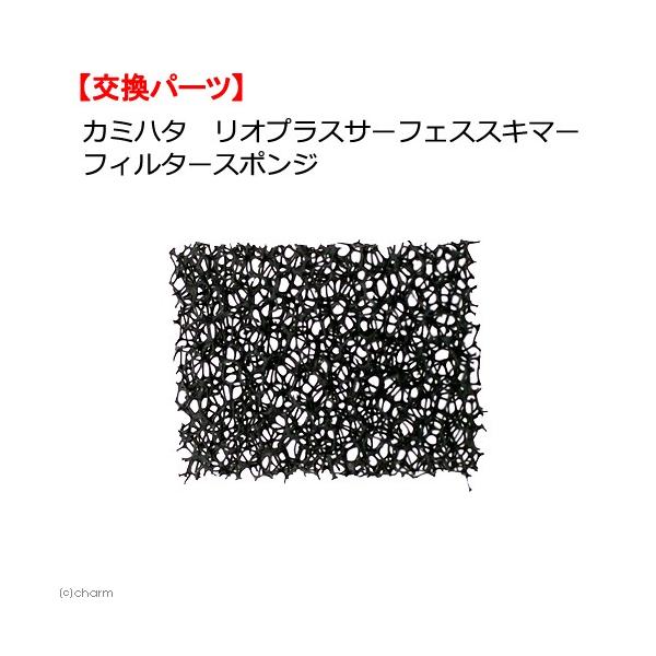 J~n^@IvX@T[tFXXL}[p@tB^[X|W